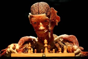 Тайны тела. Вселенная внутри (42 фото)