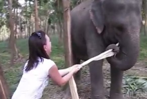 Лучшие фейлы прошедшей недели