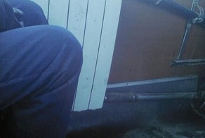 Свежий фотоприкол