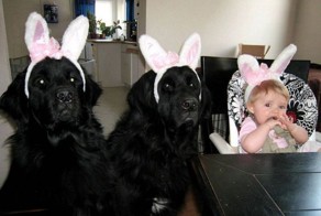 Прекрасные фото