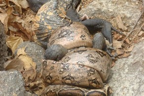 Прекрасные фото