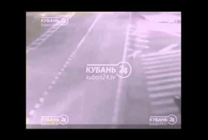 Гончег встретился с деревом
