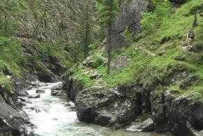 Отдыхали в Горном Алтае