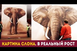 Художники нарисовали слона в реальном масштабе