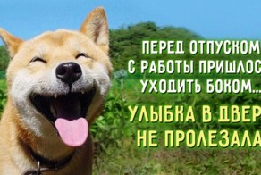 15 открыток, которые заряжены оптимизмом