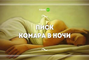 10 вещей, которые просигнализируют нам о лете