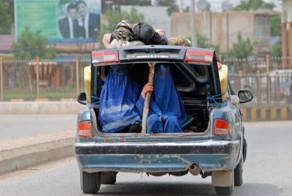 Прикольные фото