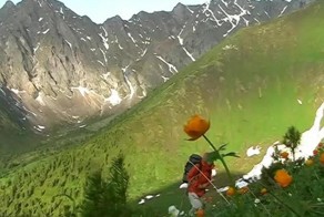  Продолжение прогулки по Горному Алтаю