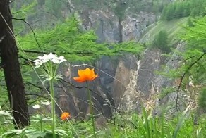  Прогулки по Горному Алтаю