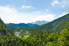 Невероятная абхазия