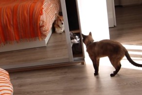 Дайте мне немного личного пространства, пожалуйста