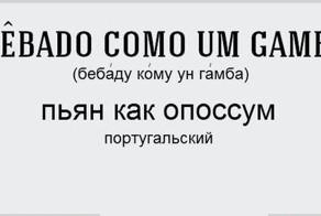 Пьян в драбадан, в стельку и другие состояния опьянения на 16 языках