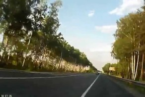 Встеча с дроздом