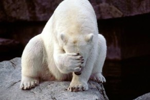 25 человек, которые горько пожалели о том, что они сделали