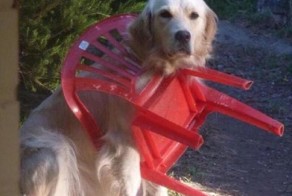 23 фотографии, раскрывающие всю сложность нашей жизни