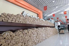 Работник АЗС купил машину за 4 тонны монет