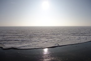 Тихий Океан