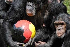 Одна из лучших футбольных Команд