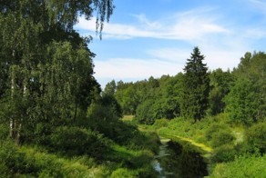 Природа России