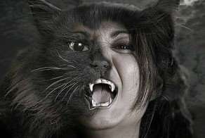 31 причина обменять жену на кошку