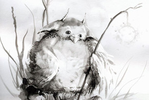 Сказки старой зимы