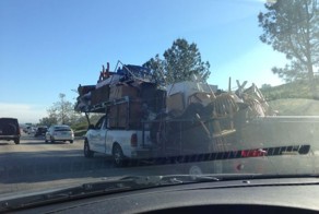 Прикол картинка