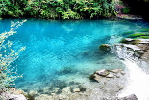 Природа Абхазии