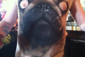 Фотоприкол бесплатно