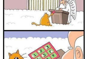 Фотоприкол онлайн бесплатно