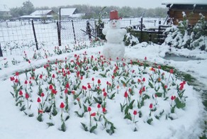 Крутые фотки