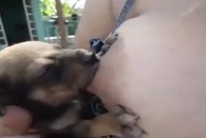 Женщина кормит грудью щенка