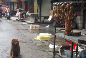 Китайский фестиваль мяса