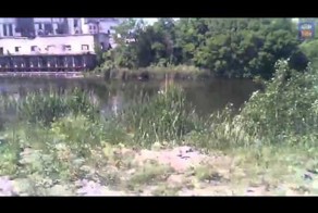 Рейд БМП Колонна ВСУ входит в боевую Зону АТО