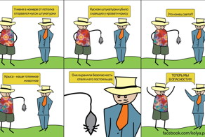 В номере случается всякая хрень