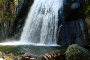 Горный Алтай. Телецкое озеро