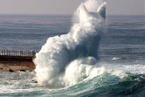 Шутки природы