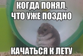 Подборка картинок, которые зарядят вас позитивом