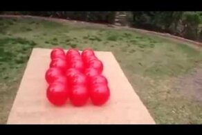 Собачка против воздушных шариков