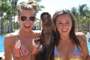 Прекрасные фото