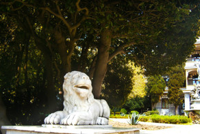 Гурзуфское семейство кошачьих