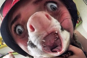 Показалось