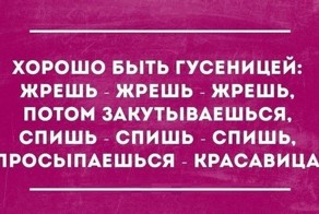 26 открыток от мастеров сарказма