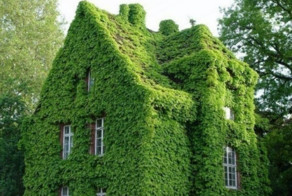 Зеленый дом.  Пригороде Парижа, Франция