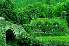 Зеленый дом.  Пригороде Парижа, Франция