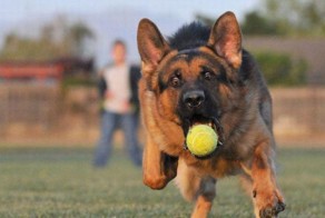 Фото приколы