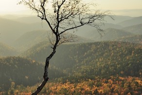 Красноярск.Заповедник Столбы