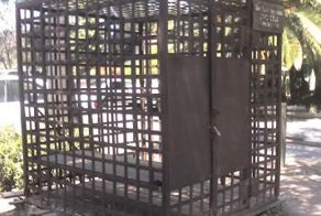 Украинских солдат сажают в клетки за пьянство.