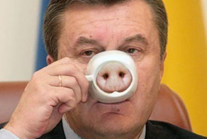 Прикольные фото и картинки от zubrilov за 15.05.2013 №155900