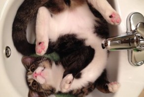 Юмор прикол