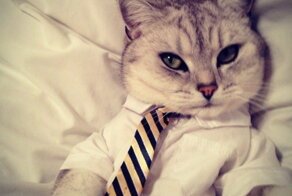 7 вещей, которые вы никогда не должны говорить своему боссу